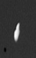 Calypso - Voyager 2
