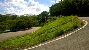 Puerto Rico Highway 14 in Asomante