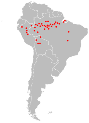 Cetopsis candiru range map