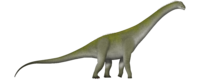 Chucarosaurus UDL.png
