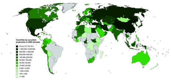 Countries by cucumber production in 2020