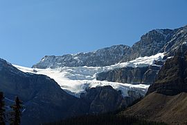 Crowfoot Glacier 1