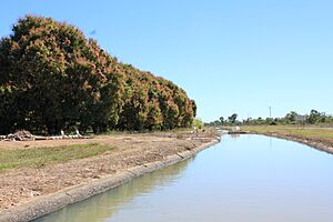 Dalbeg's Irrigation Canal System, 2010