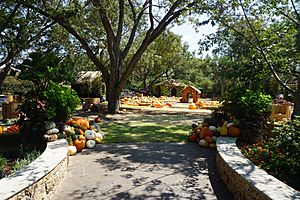 Dallas Arboretum and Botanical Garden September 2017 22 (Pecan Grove Pumpkin Village)