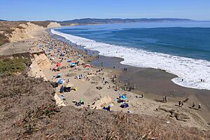 Drakes Beach during the 2015 Annual Sand Sculpture Contest