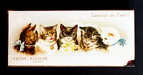 Droste Langues de Chats doosje met 5 kattekopjes, foto 1