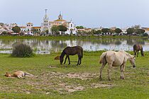 El Rocío - View from the southwest with horses