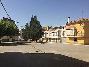 El Tarròs
