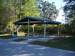 FL Van Fleet Green Pond picnic01
