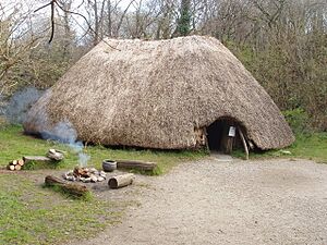 First Irish farmers hut, Irish National Heritage Park - geograph.org.uk - 1252729