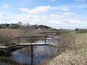 Footbridges over the Eel River, Warren Cove MA