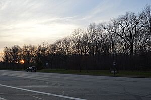 Forest Hill Park sunset