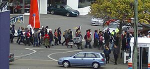 Forshore and Seabed Hikoi