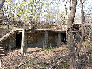 Ft Totten overgrown jeh