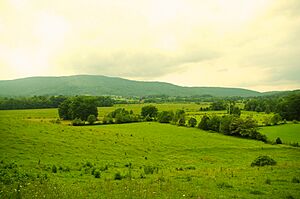 Grassy-Cove-Brady-Mountain-tn1