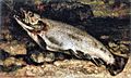 Gustave Courbet - The Trout - WGA05474