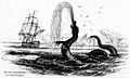 Hans Egede 1734 sea serpent