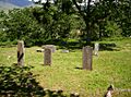 Hargadine Cemetery - Ashland Oregon