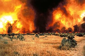 Idaho wildfire (8598791096)