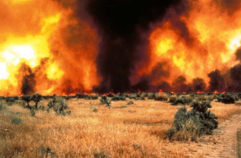 Idaho wildfire (8598791096)