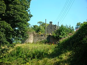 Kersland Castle ruins