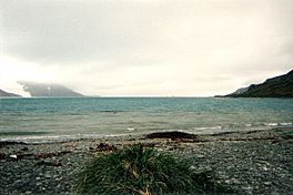 King Haakon Bay in South Georgia Island.jpg