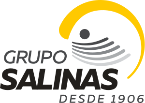 Logotipo de Grupo Salinas.svg