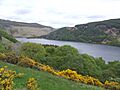 Lough Dan looking north May 2015 01