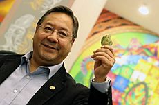 Luis Arce holds up a Coca Leaf. 29 June 2022, Vice Ministry of Communication, La Paz. (52183345624)