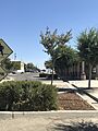 Main St. in San Joaquin, CA