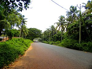 Paravur-Chathannoor road at Meenad