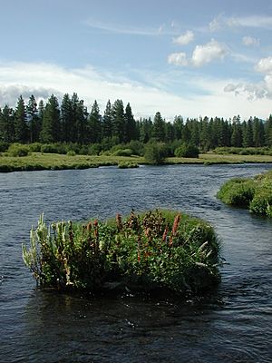 MetoliusRiver2001