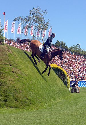 Michael Whyte on Hickstead Derby Bank