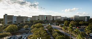 Moffitt Cancer Center viewed from east