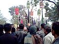 Muharram (Al'am) procession Barabanki India (Jan 2009)