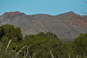 Mule Mountains, AZ.jpg