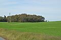 Murry Site fields