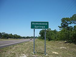 Northbound US 19-98 as it enters Homosassa Springs