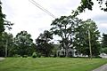 NewburyVT BayleyHD 1