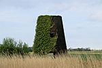 Old Hall Drainage Mill - geograph.org.uk - 803077.jpg
