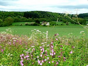 Over the fields to Llanrothal church - geograph.org.uk - 1315231