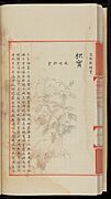 Page from the 'Great encyclopaedia of the Yongle Reign' (Yongle dadian) (CBL C 1751, f.34v)