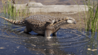 Patagopelta into the water.png