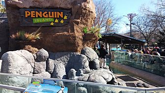 Penguin Island at Adventure Aquarium