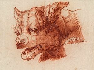 Philipp Otto Runge, Head of a Dog (1805-06), chalk & lead