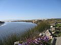 Pismo Beach Creek taken at Addie Vacation Townhomes 10x72