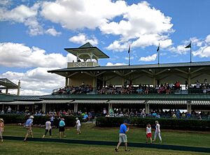 Polo Stadium in The Villages Florida