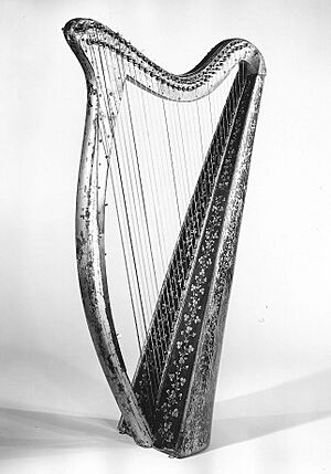 Portable Harp MET 215159