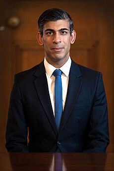 Portrait of Prime Minister Rishi Sunak (cropped 2)