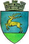 Coat of arms of Gura Humorului